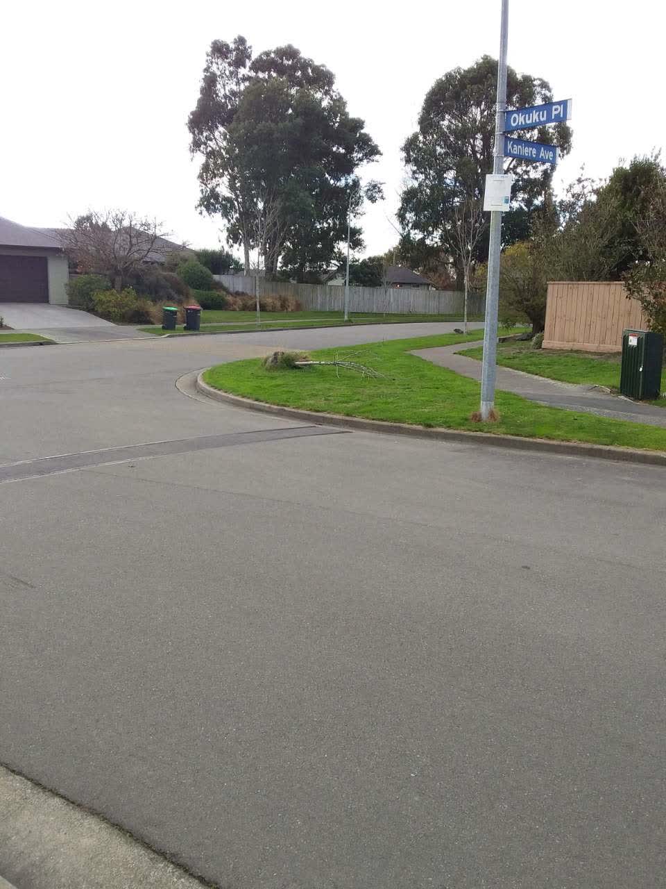 The photograph attached to this roading/streets report