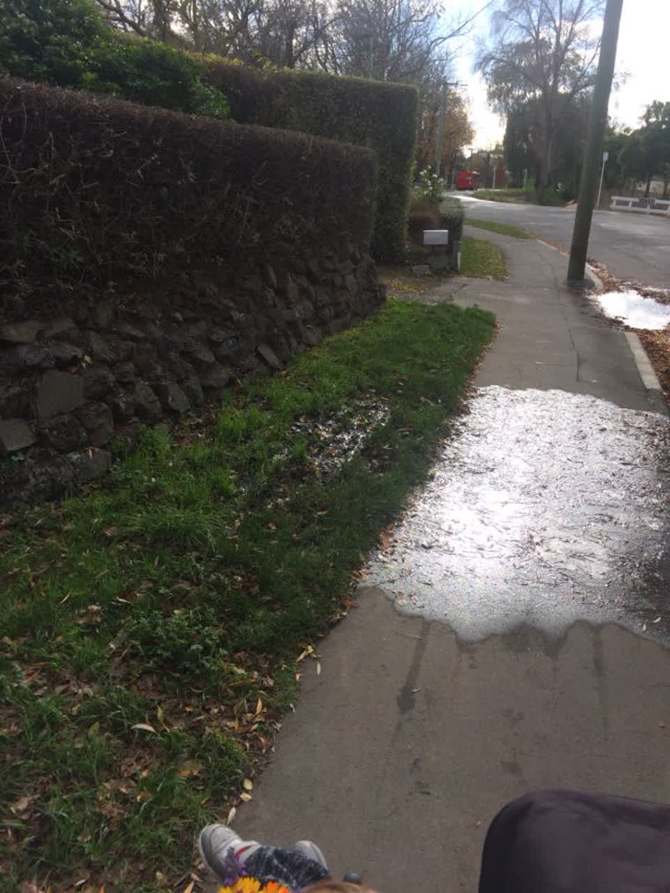 The photograph attached to this water supply report