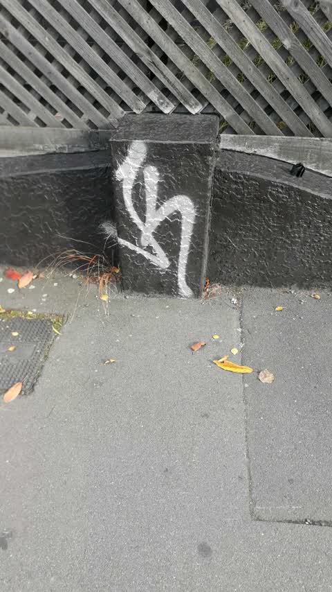 Graffiti, a report photo