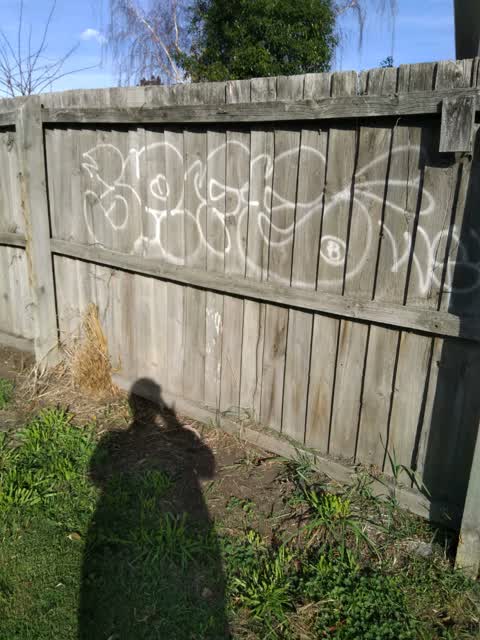 Graffiti, a report photo