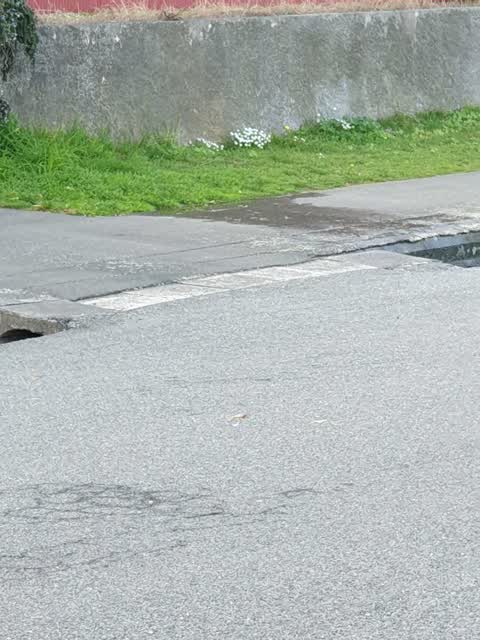 Water Supply, a report photo