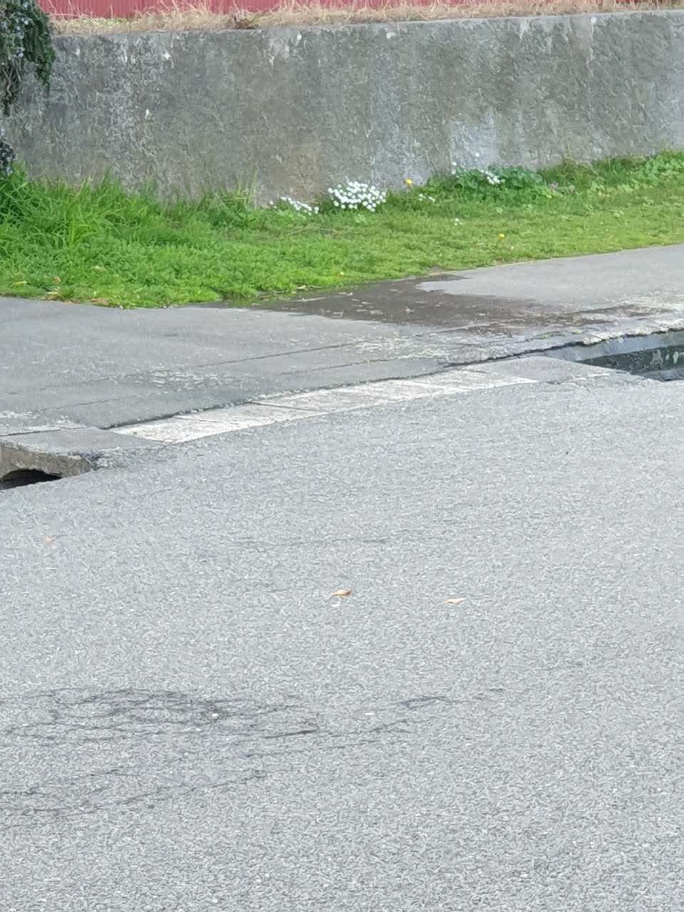The photograph attached to this water supply report