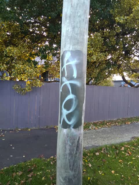 Graffiti, a report photo
