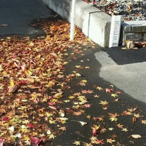 Wastewater/Stormwater, a report photo