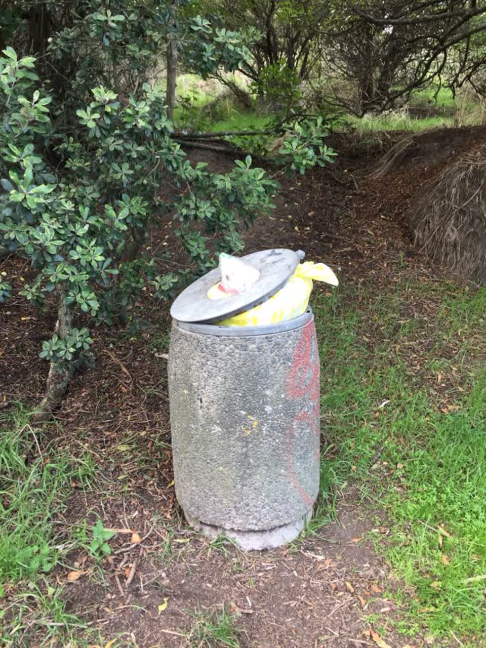 The photograph attached to this parks report