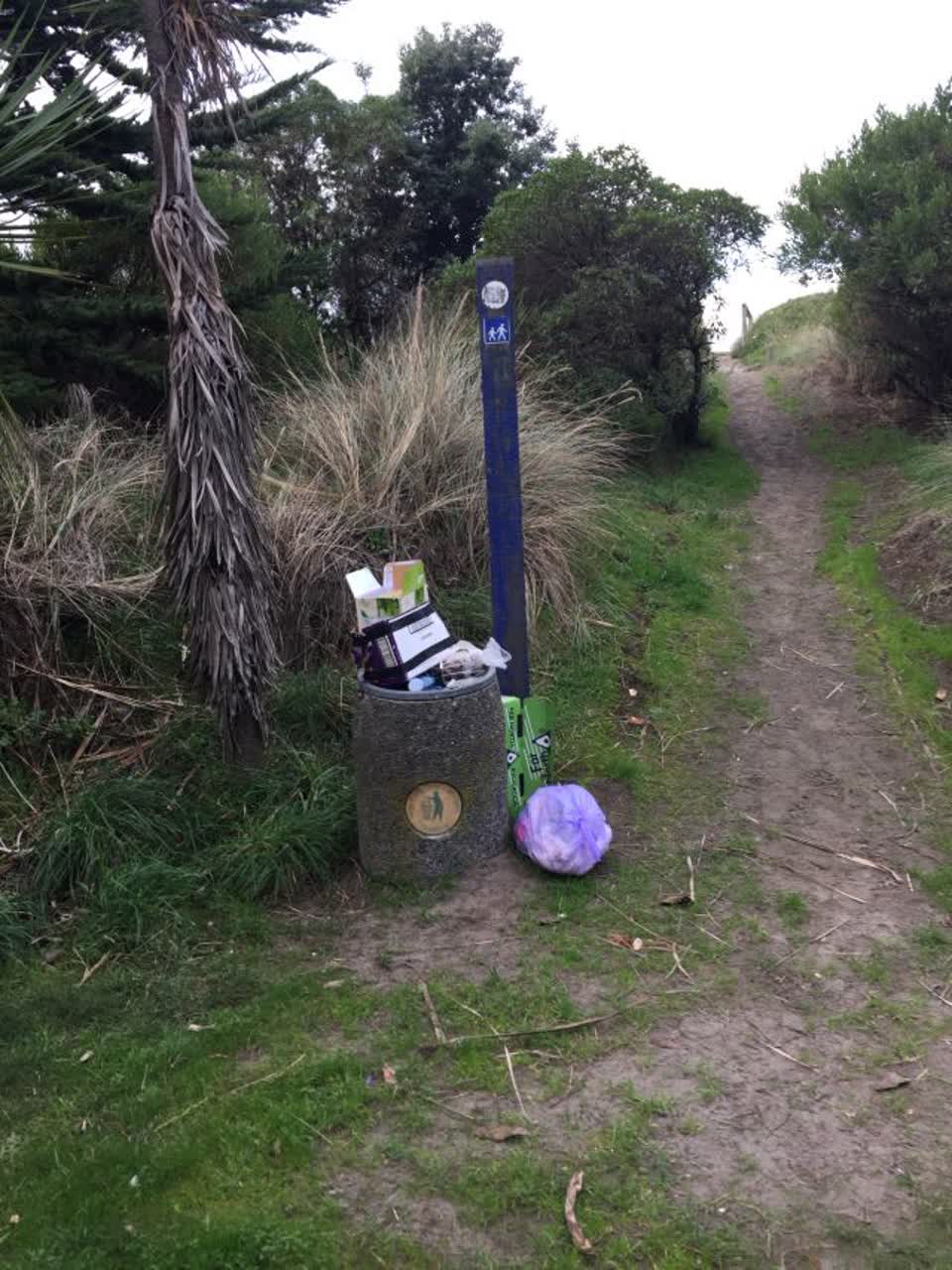 The photograph attached to this rubbish/recycling report