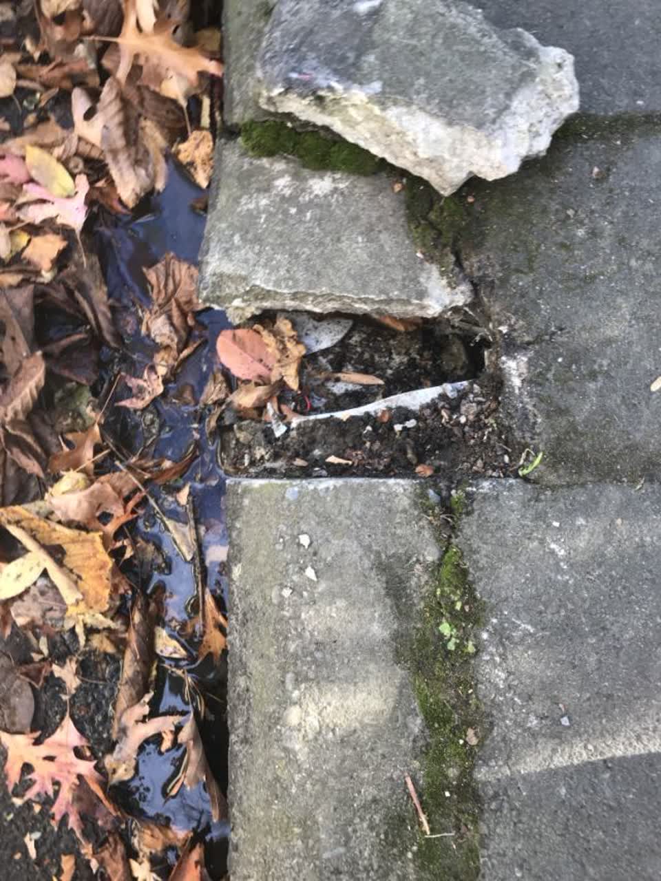 The photograph attached to this roading/streets report