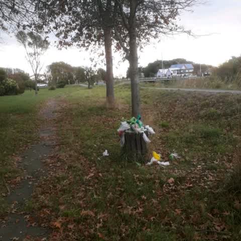 Rubbish/Recycling, a report photo