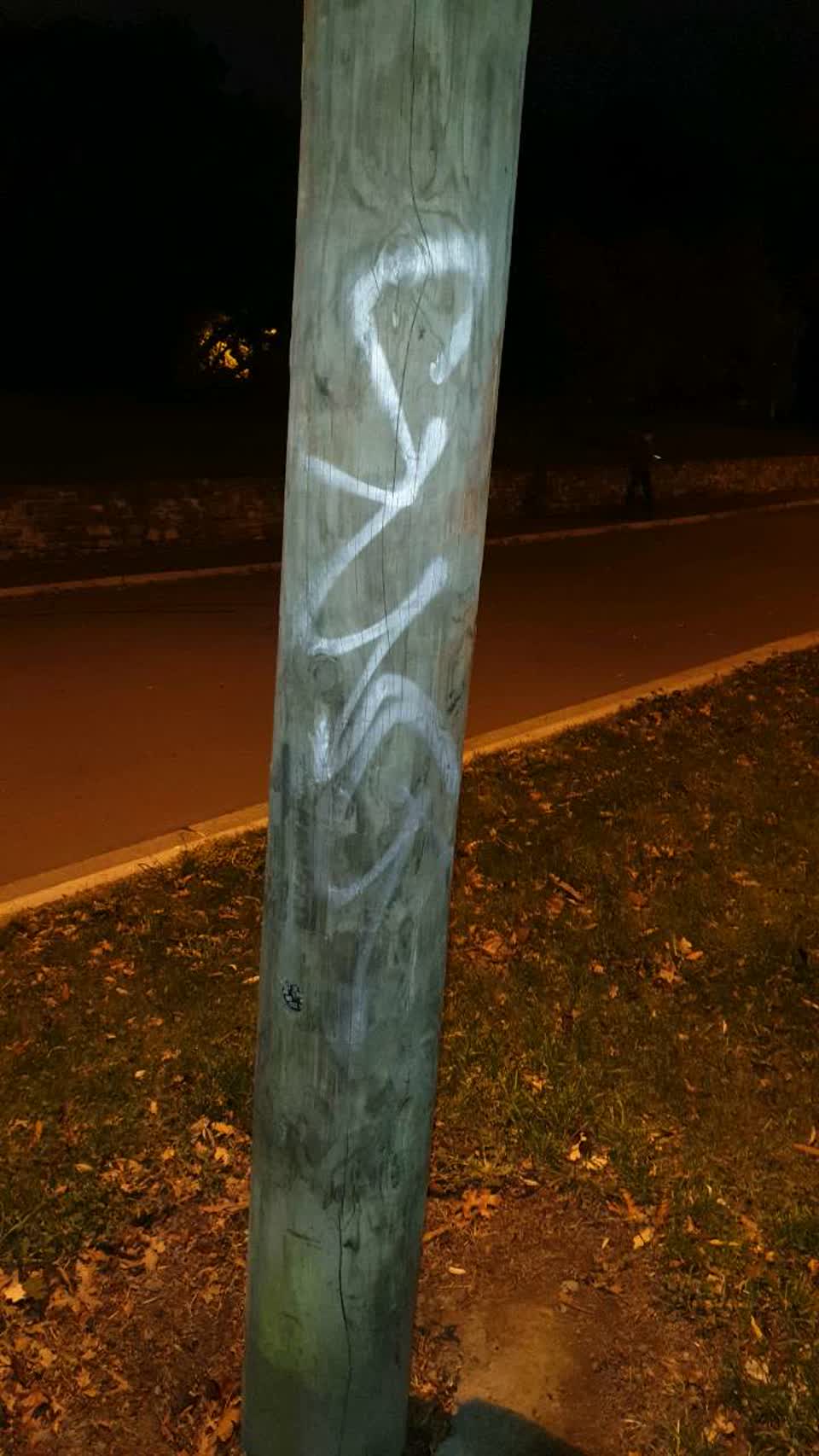 The photograph attached to this graffiti report