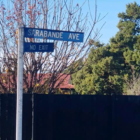 Roading/Streets, a report photo