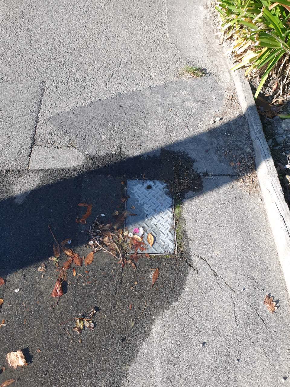 The photograph attached to this water supply report
