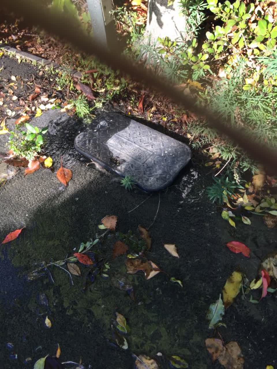 The photograph attached to this water supply report
