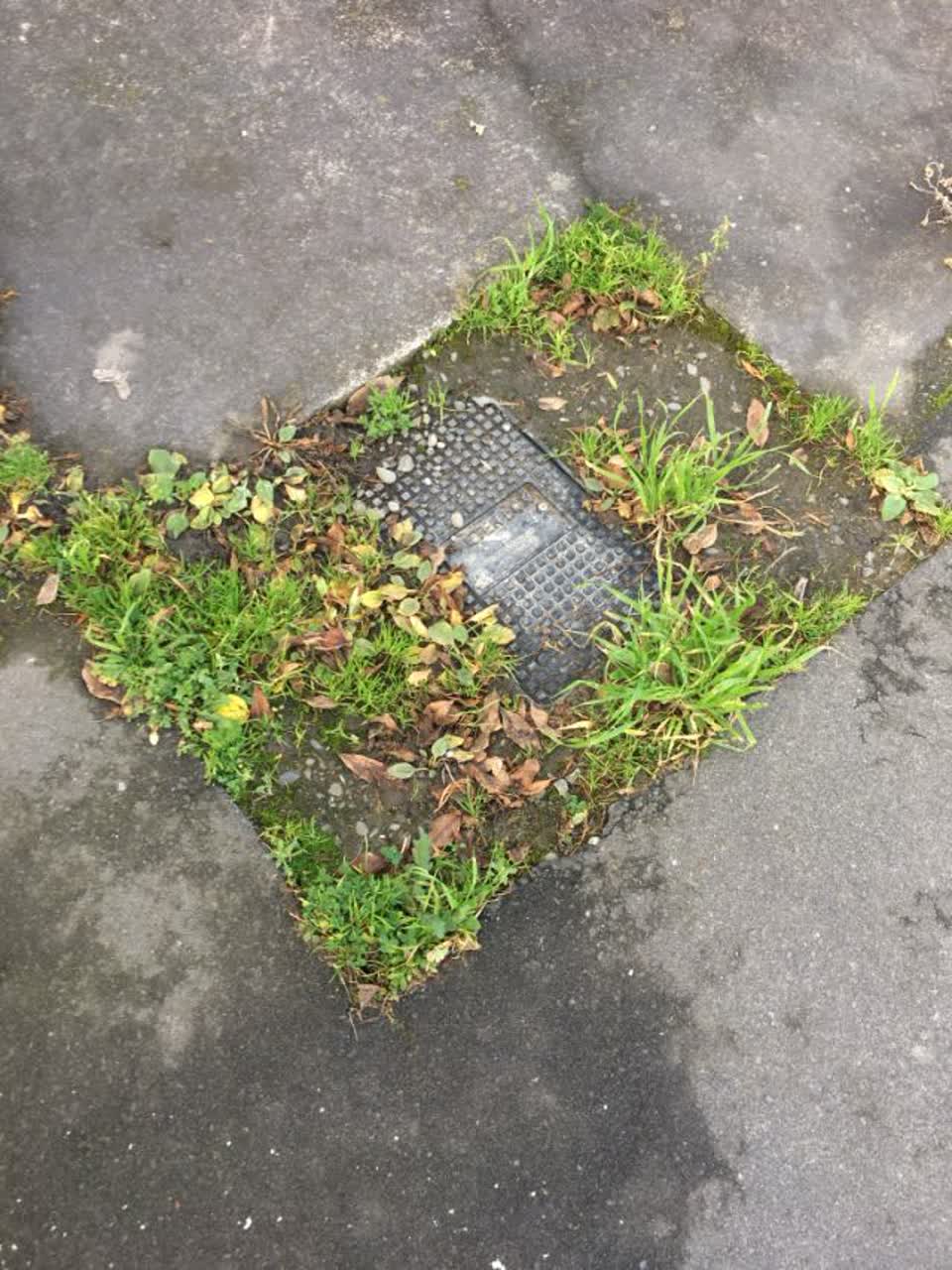The photograph attached to this water supply report