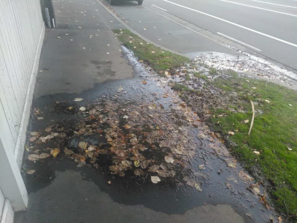The photograph attached to this water supply report