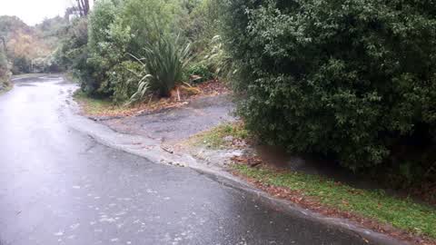Roading/Streets, a report photo