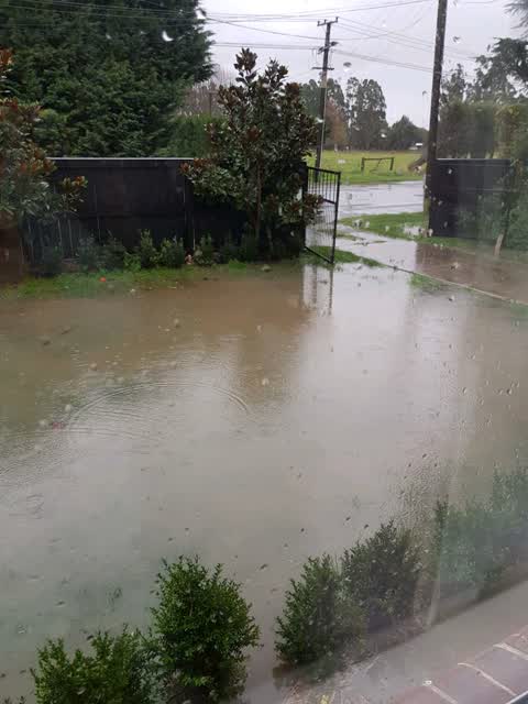 Flooding, a report photo