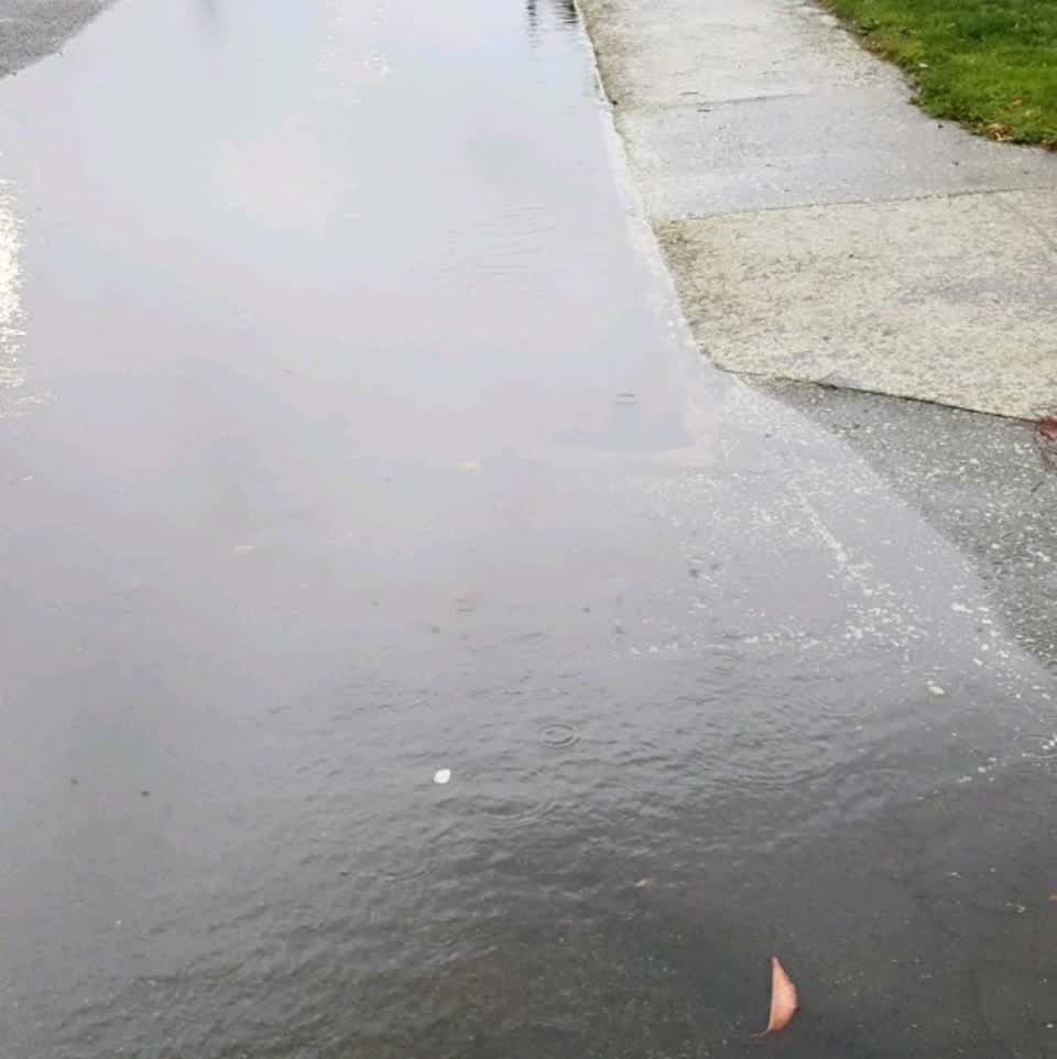The photograph attached to this flooding report