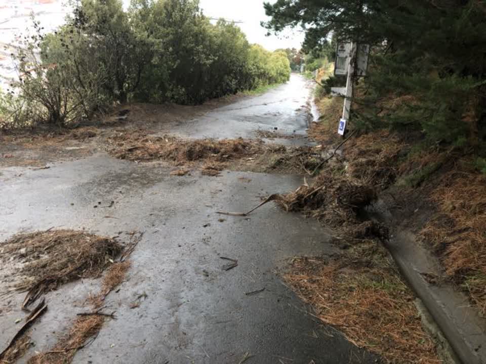 The photograph attached to this flooding report