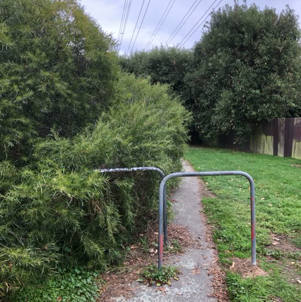 The photograph attached to this parks report