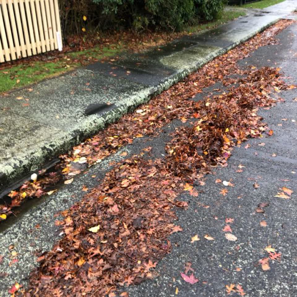 The photograph attached to this flooding report