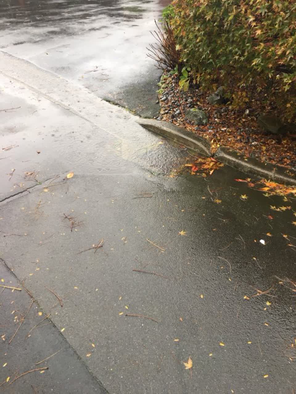 The photograph attached to this wastewater/stormwater report