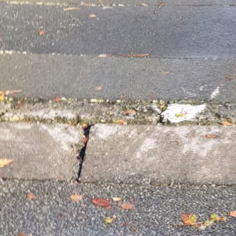 Water Supply, a report photo