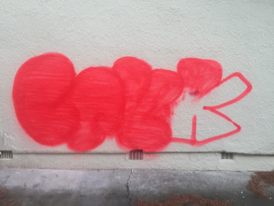 The photograph attached to this graffiti report