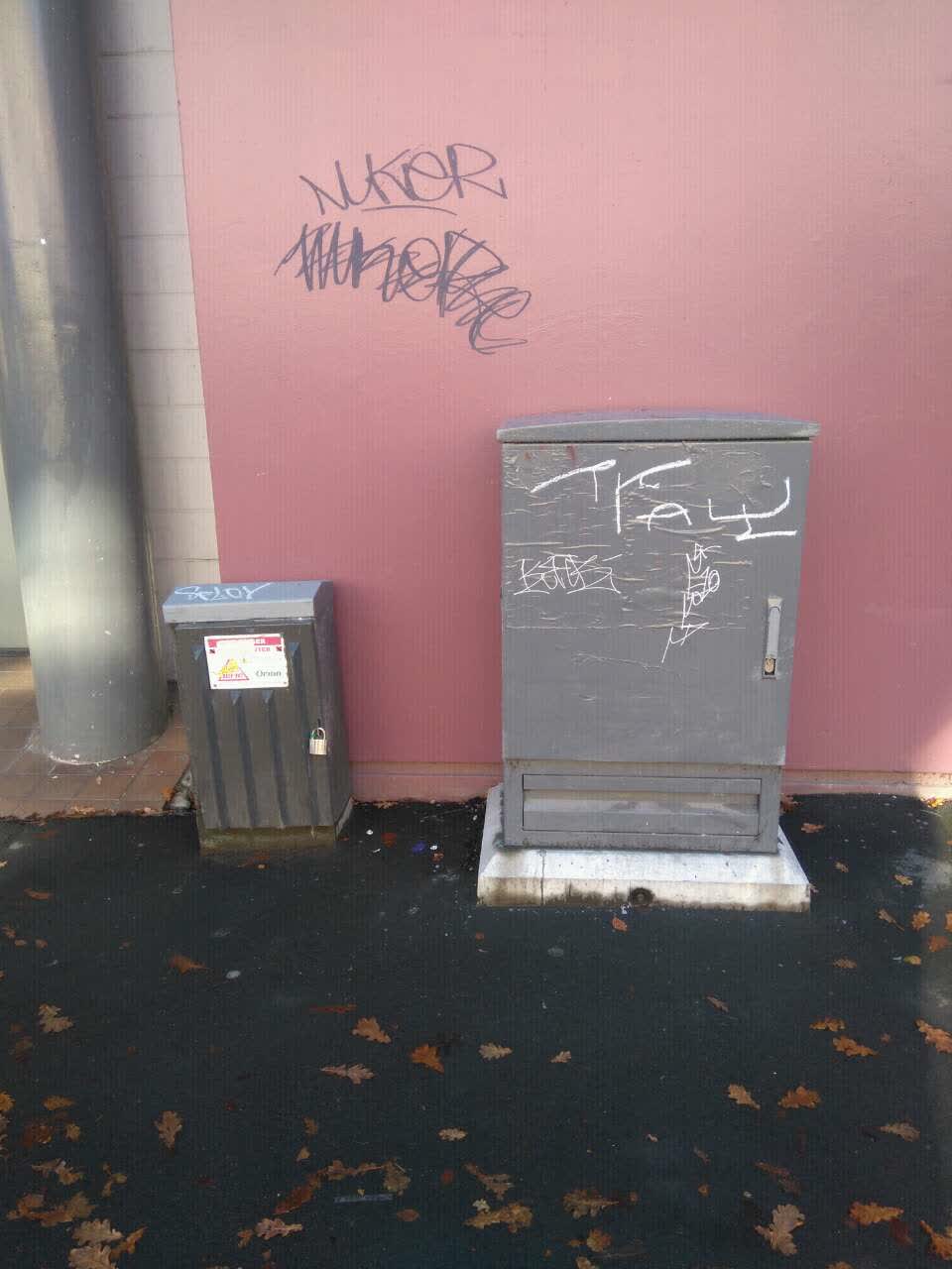 The photograph attached to this graffiti report
