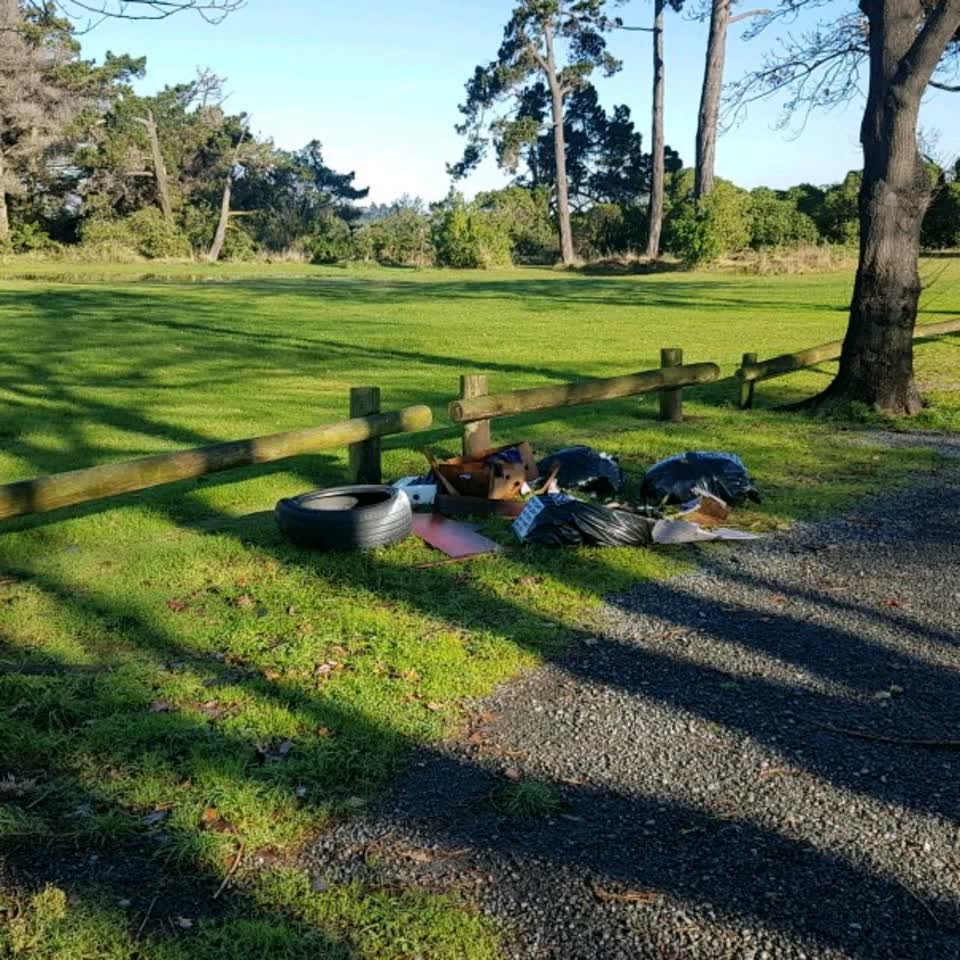 The photograph attached to this rubbish/recycling report