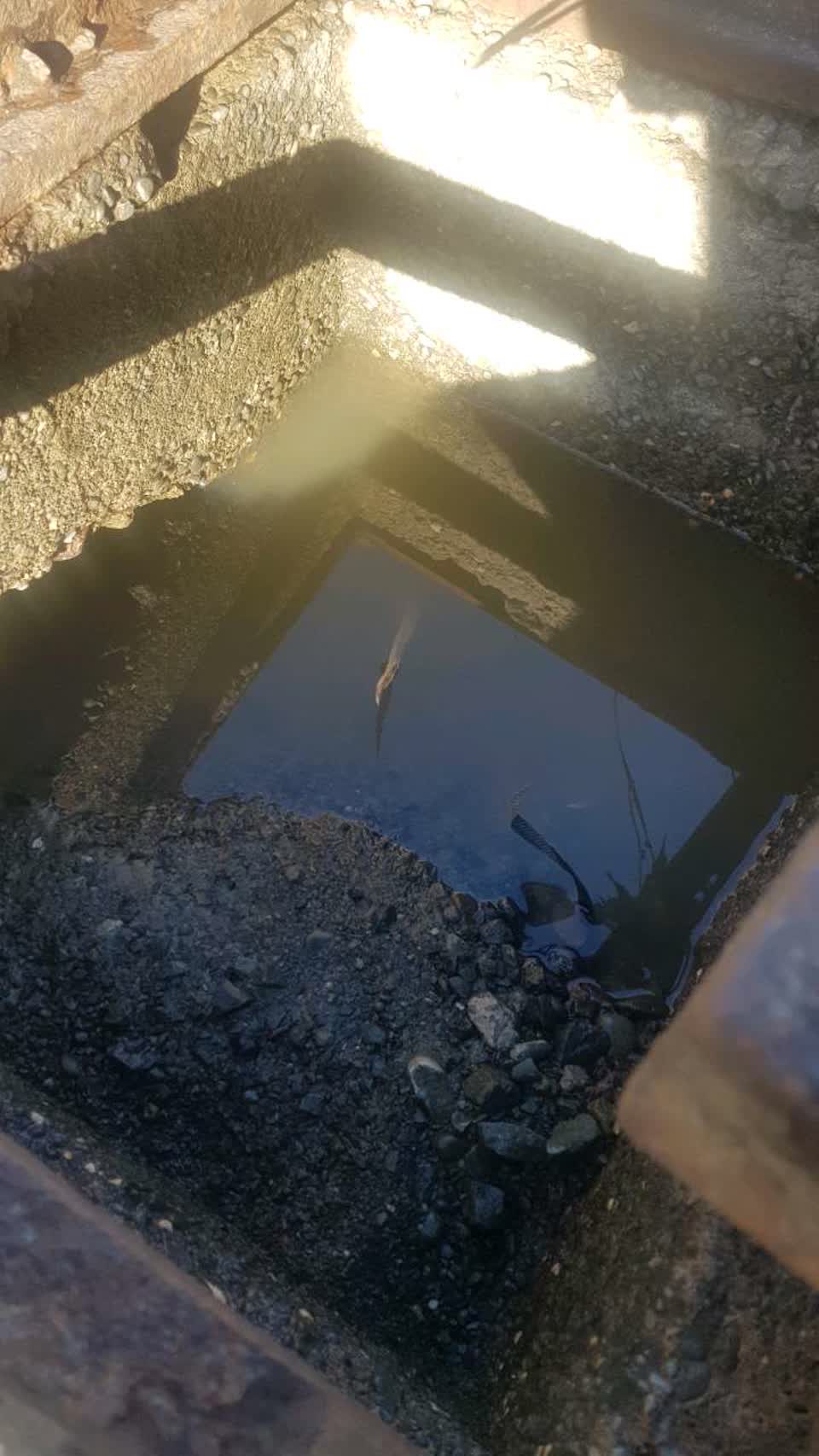 The photograph attached to this wastewater/stormwater report
