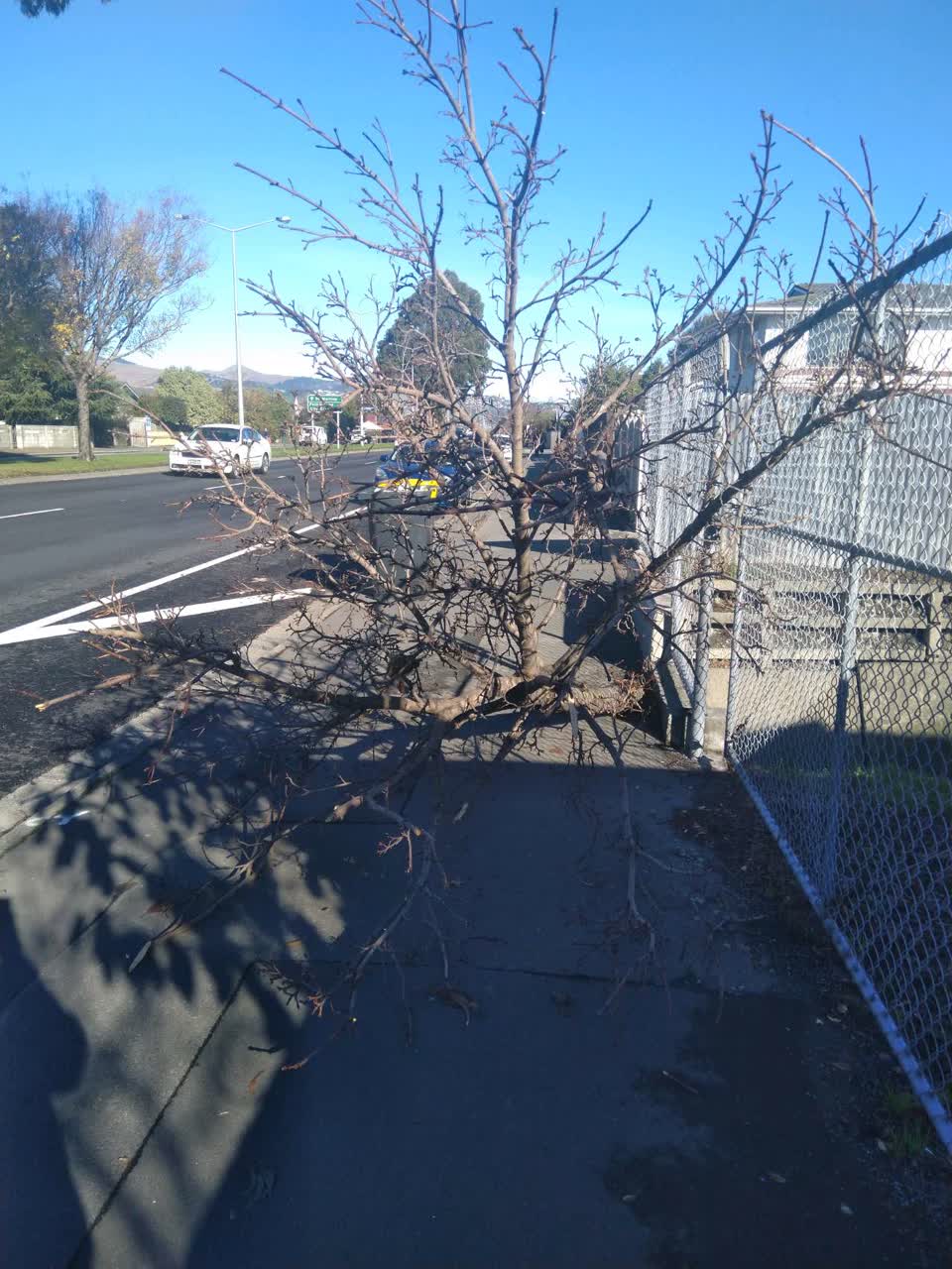 The photograph attached to this roading/streets report
