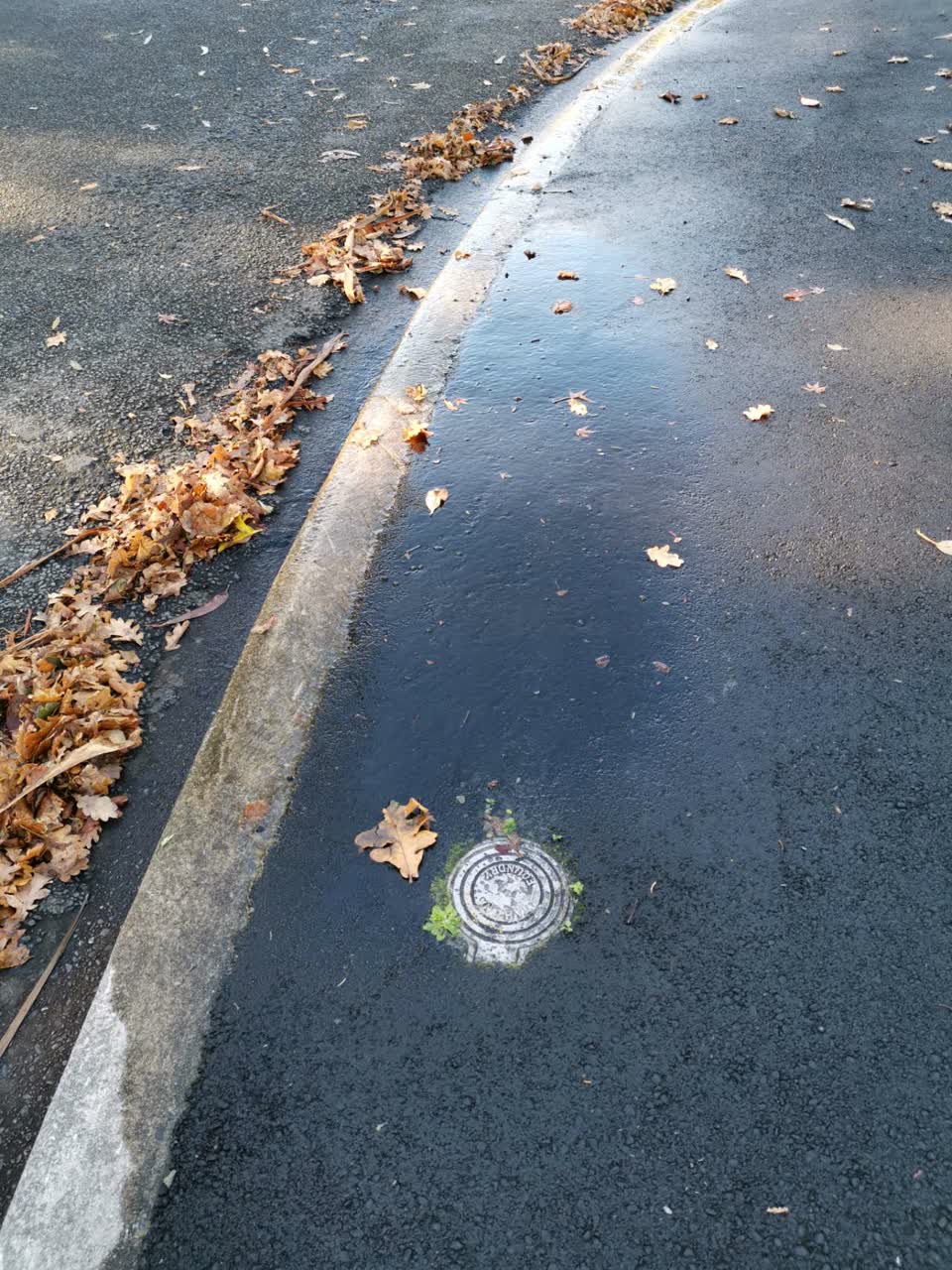 The photograph attached to this water supply report