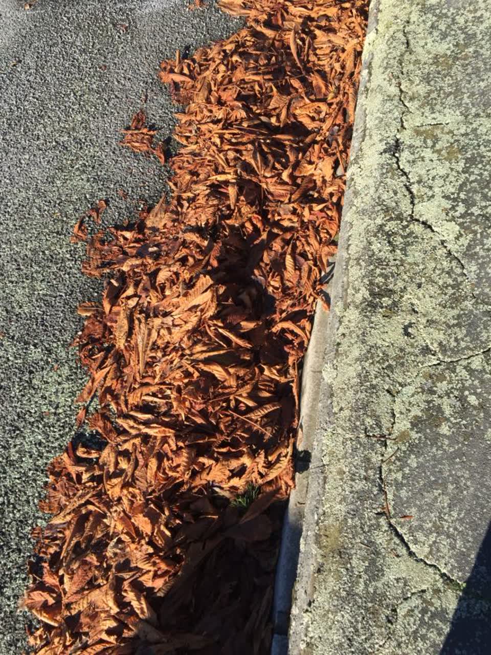 The photograph attached to this flooding report