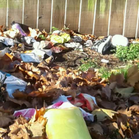 Parks, a report photo