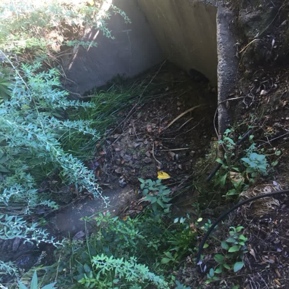 The photograph attached to this wastewater/stormwater report