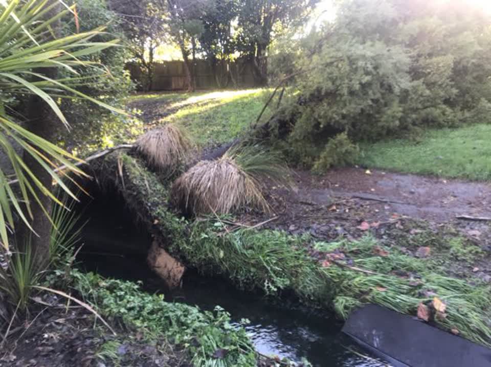 The photograph attached to this parks report