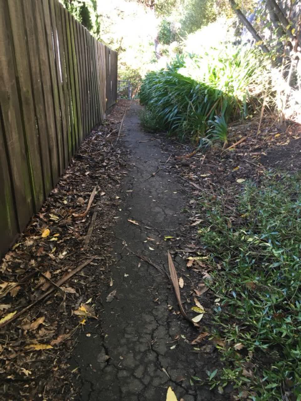 The photograph attached to this parks report