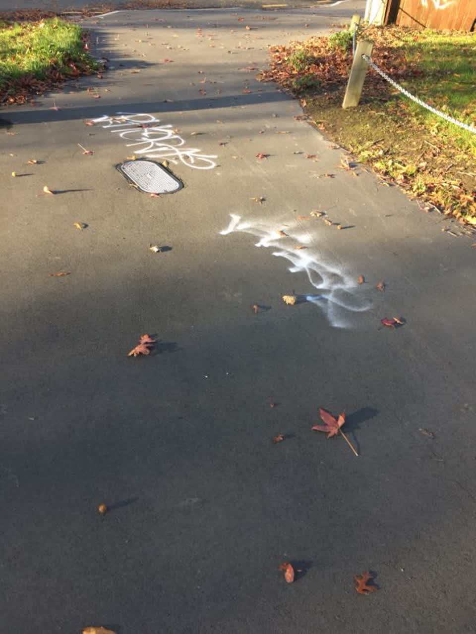 The photograph attached to this graffiti report