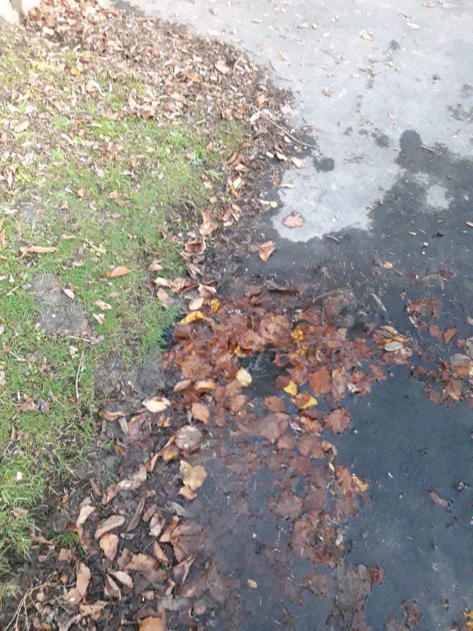 The photograph attached to this water supply report