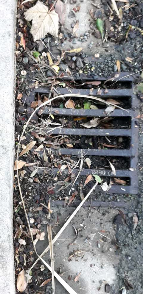 Wastewater/Stormwater, a report photo