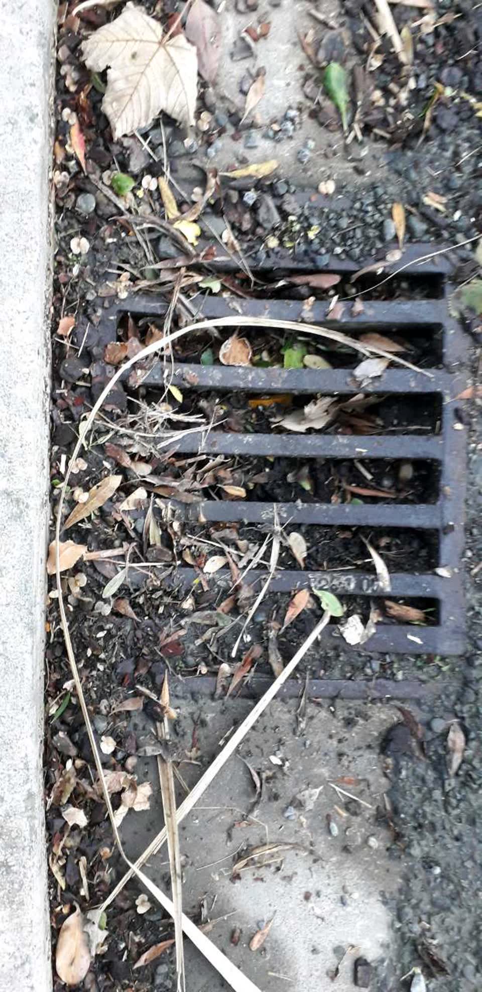 The photograph attached to this wastewater/stormwater report