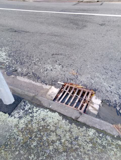 Wastewater/Stormwater, a report photo