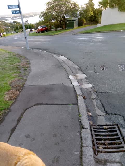 Wastewater/Stormwater, a report photo