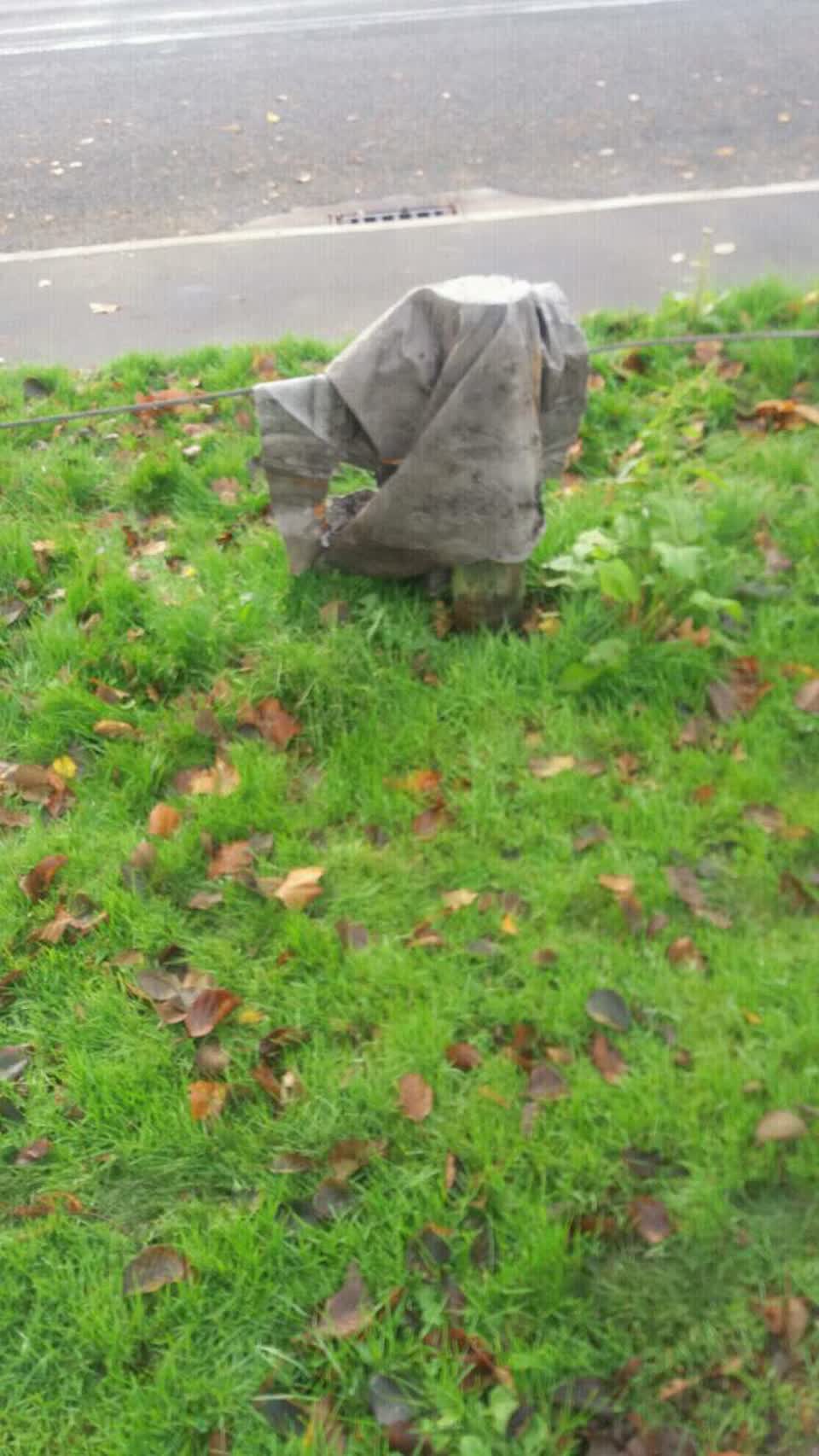 The photograph attached to this rubbish/recycling report