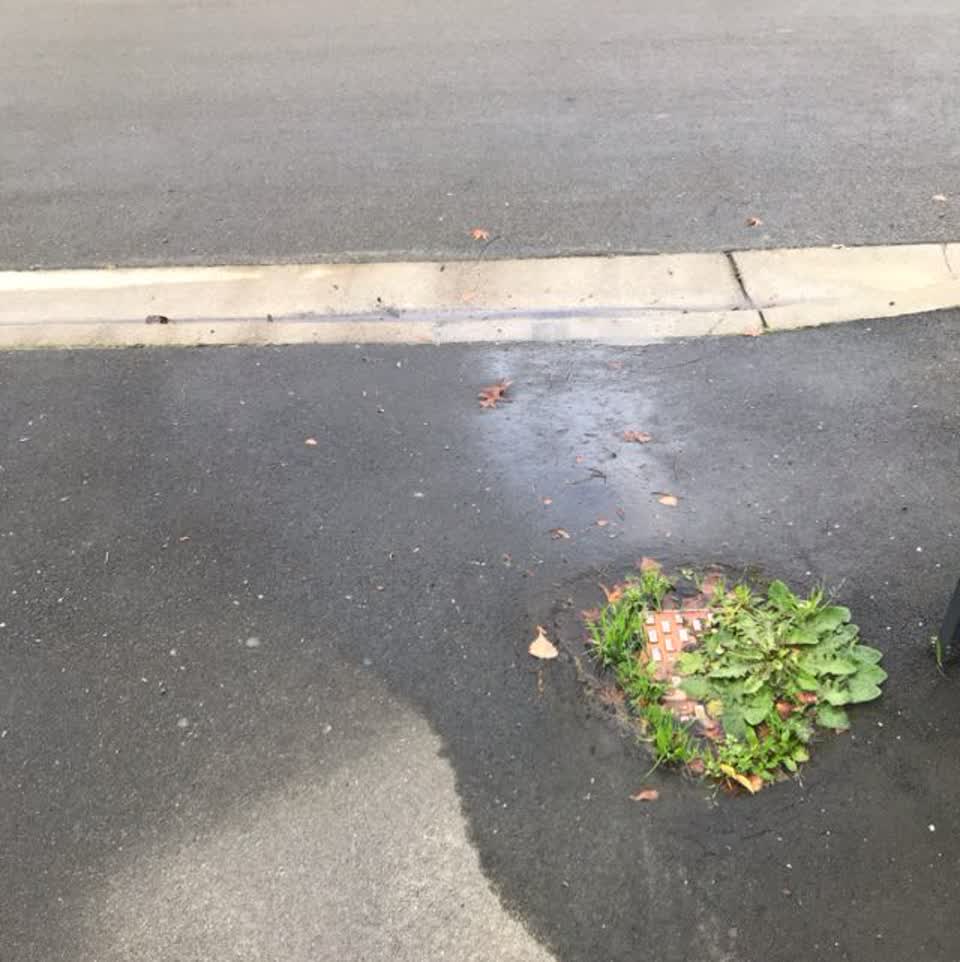 The photograph attached to this water supply report