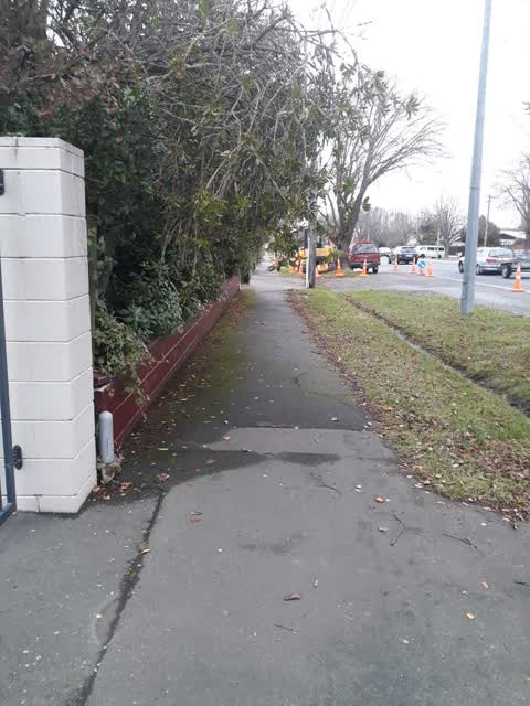 Roading/Streets, a report photo