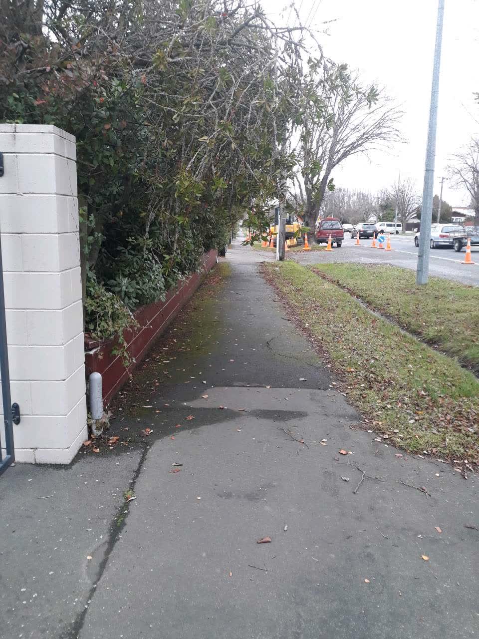 The photograph attached to this roading/streets report