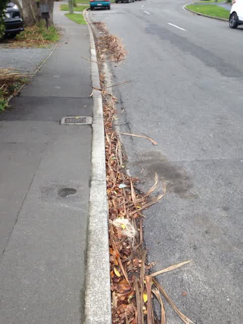 Roading/Streets, a report photo