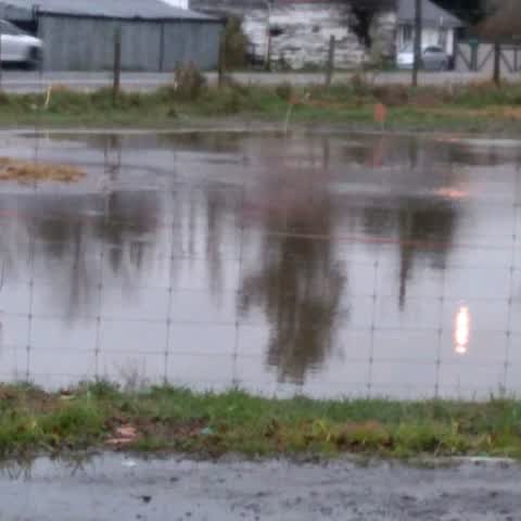 Flooding, a report photo