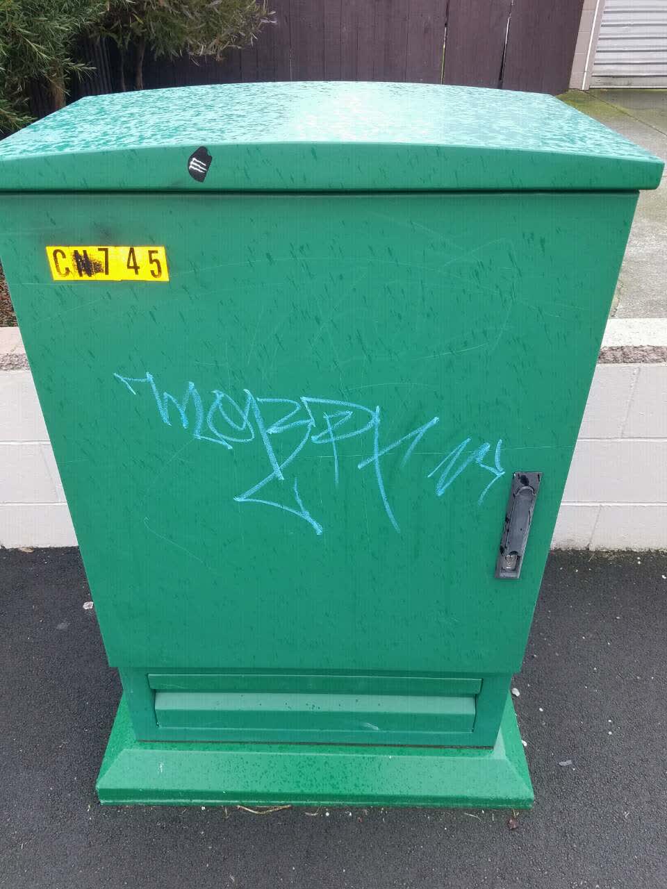 The photograph attached to this graffiti report